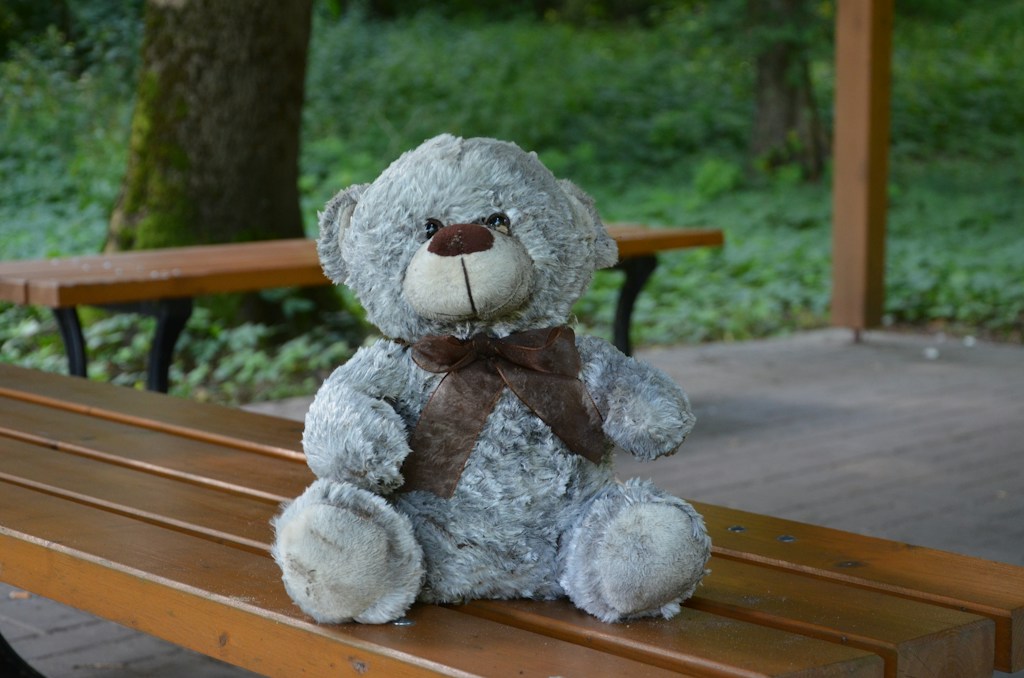 Gray Teddy Bear
