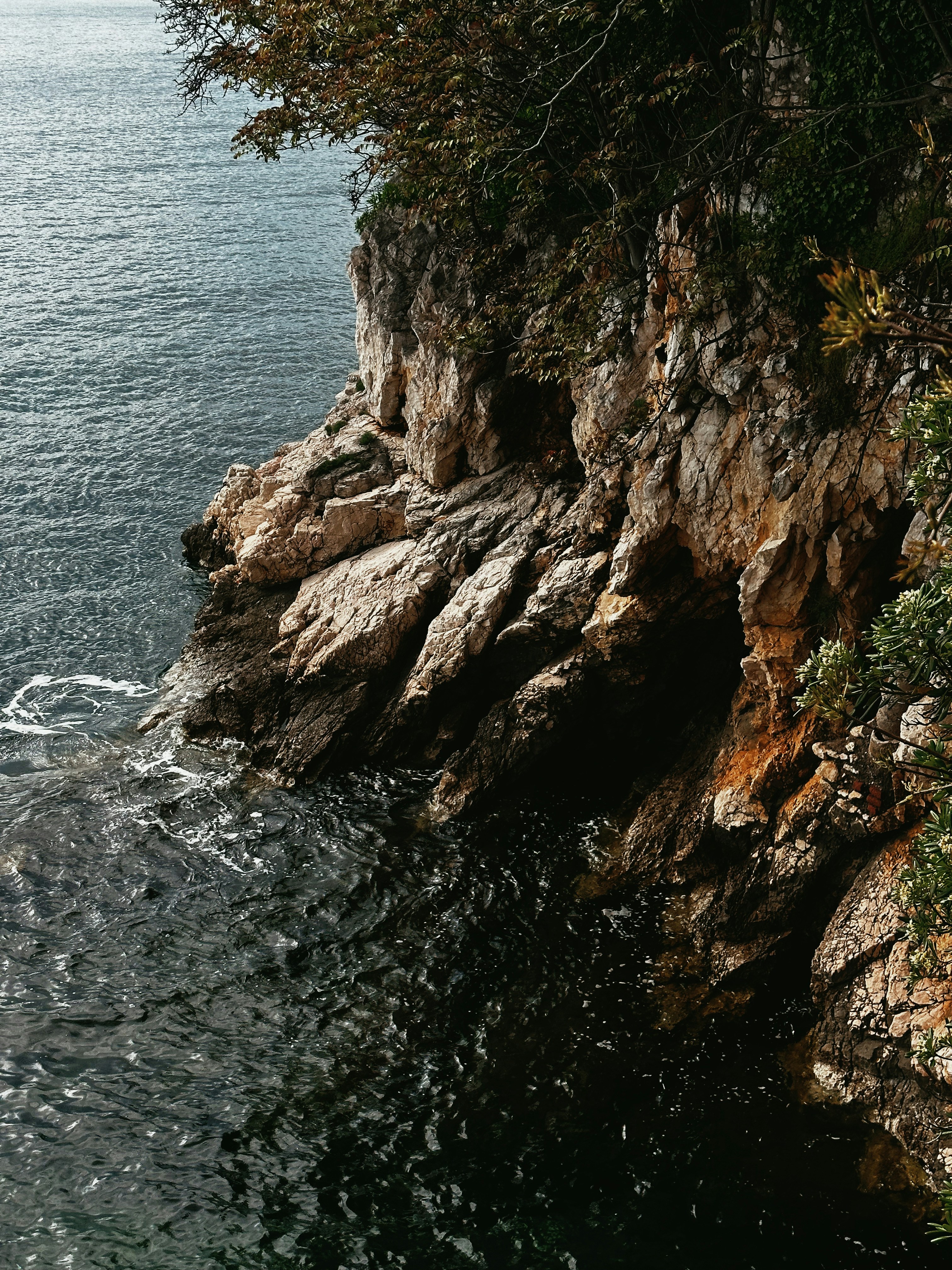 Photo by alexandraleru