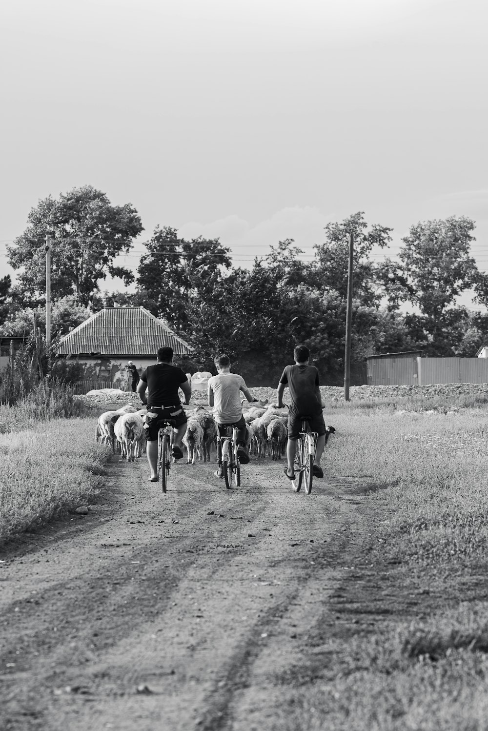 a group of people riding bikes down a dirt road