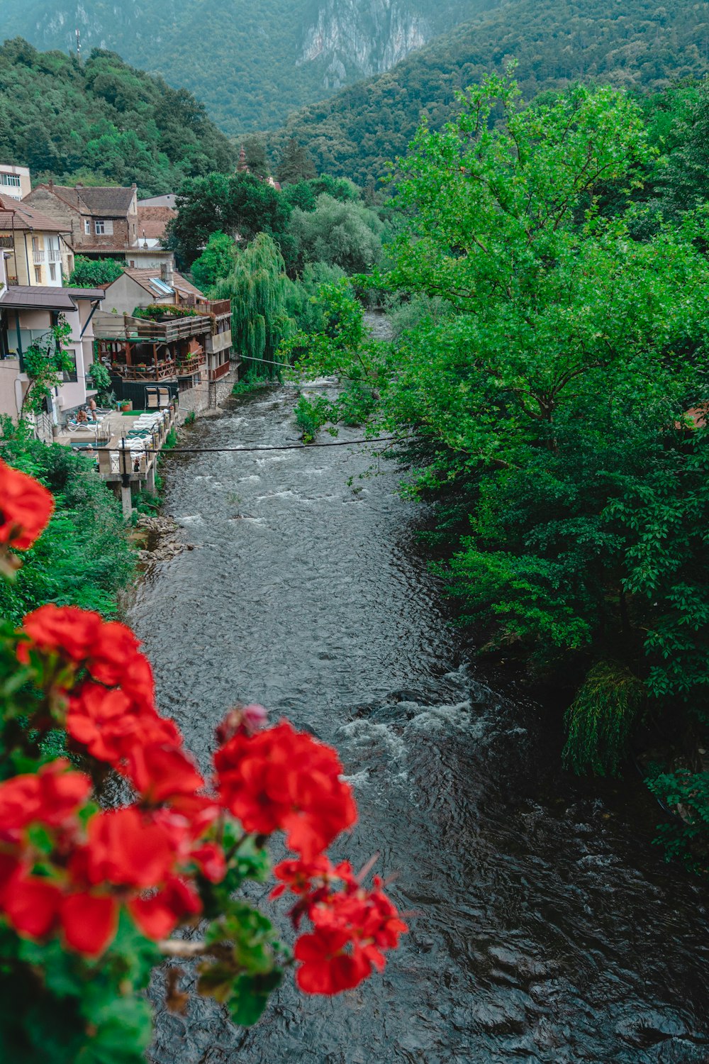 a river running through a lush green hillside