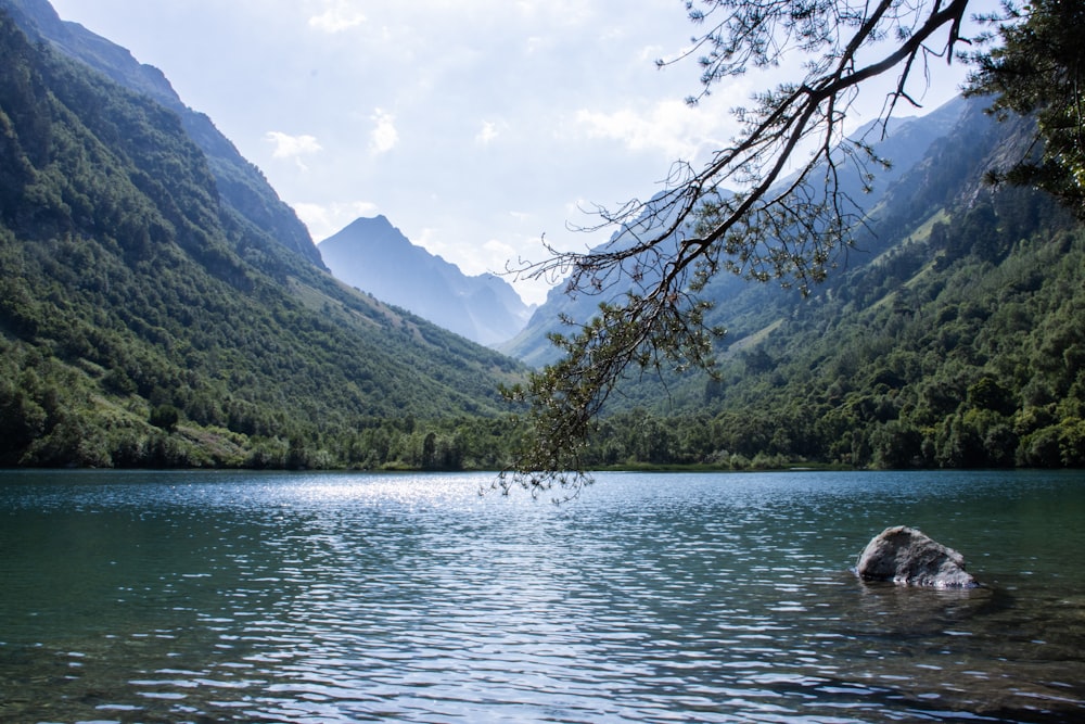 a body of water surrounded by mountains and trees