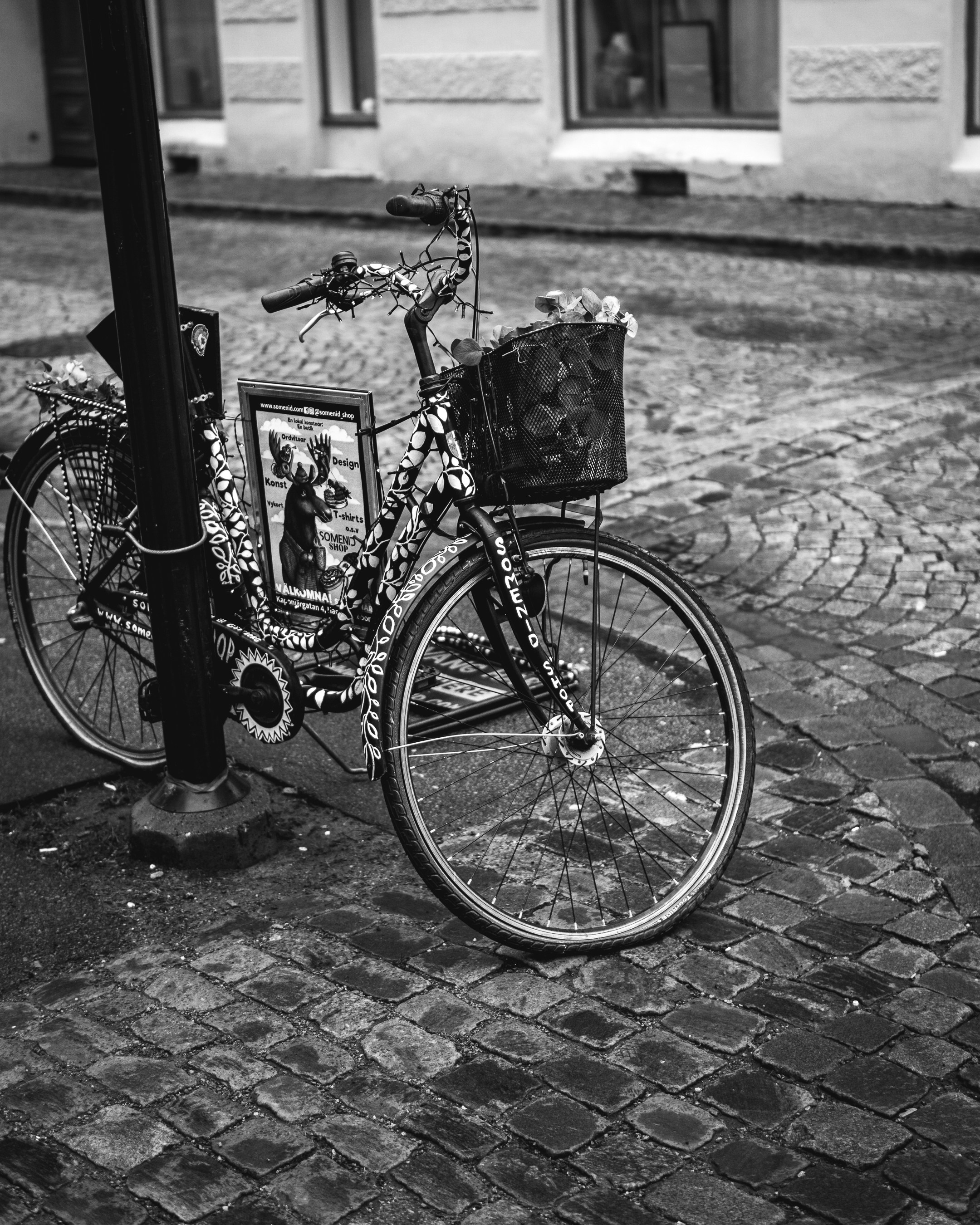 Photo by jacobasker04