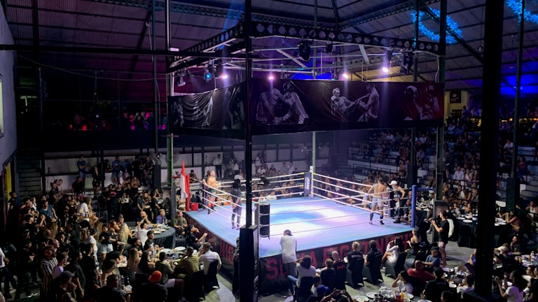 Photo capturing a fierce MMA match under bright arena lights