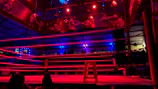 A close-up shot of a referee signaling a round start inside the octagon under bright arena lights.