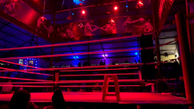 A close-up shot of a referee signaling a round start inside the octagon under bright arena lights.