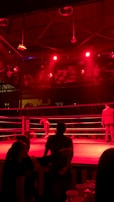 A wrestling ring is illuminated with red lighting, creating a dramatic atmosphere. Several people are visible around the ring, with silhouetted spectators in the foreground. Banners or art adorn the upper walls, and the venue has an industrial ceiling with exposed beams.