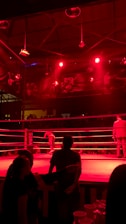 A wrestling ring is illuminated with red lighting, creating a dramatic atmosphere. Several people are visible around the ring, with silhouetted spectators in the foreground. Banners or art adorn the upper walls, and the venue has an industrial ceiling with exposed beams.