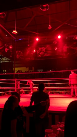 A wrestling ring is illuminated with red lighting, creating a dramatic atmosphere. Several people are visible around the ring, with silhouetted spectators in the foreground. Banners or art adorn the upper walls, and the venue has an industrial ceiling with exposed beams.