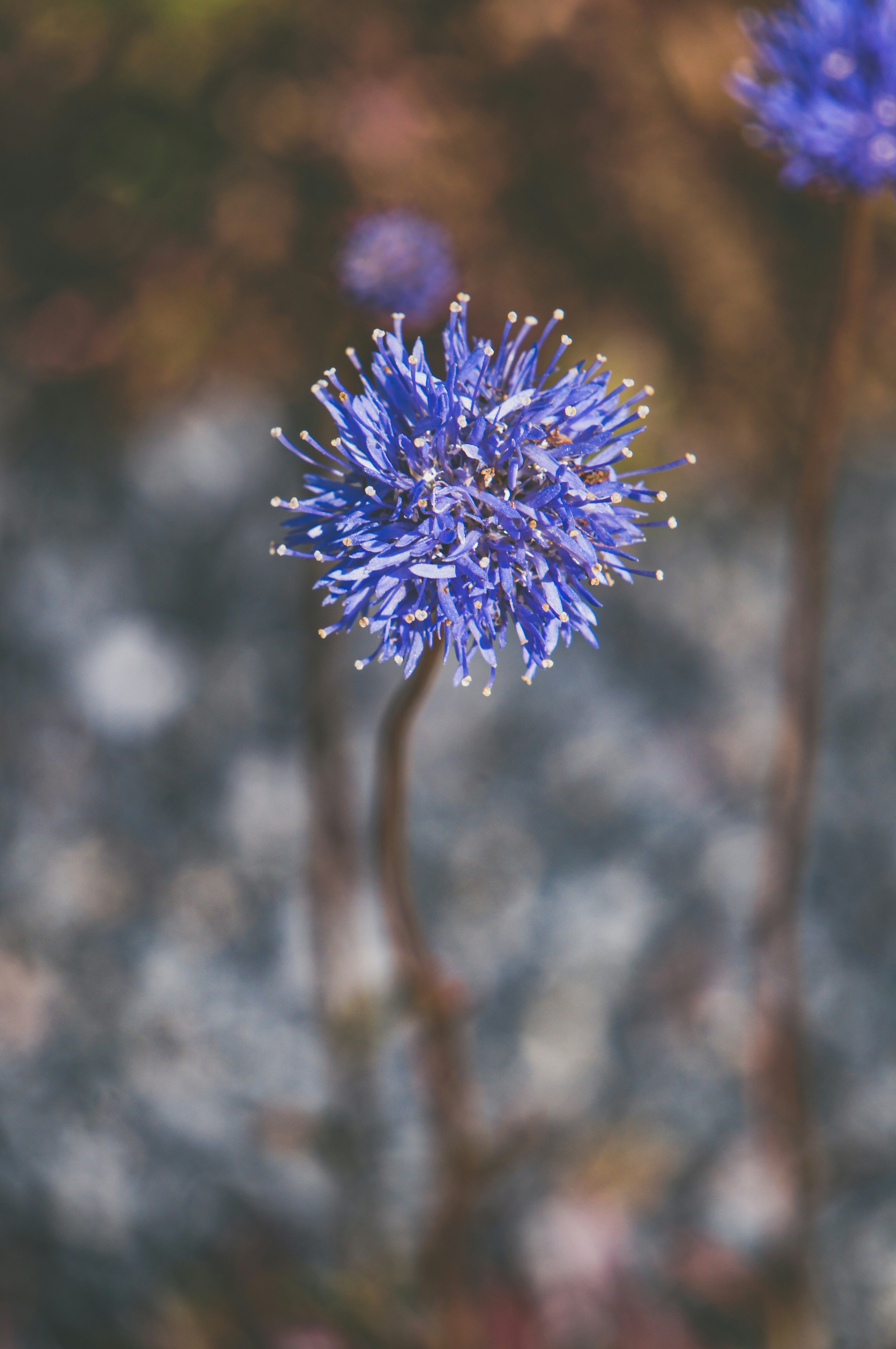 Photo by alksndra