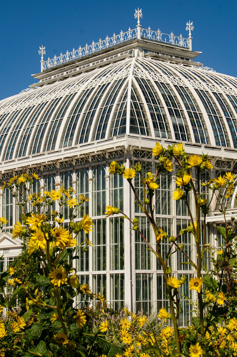 a large glass building with yellow flowers in front of it