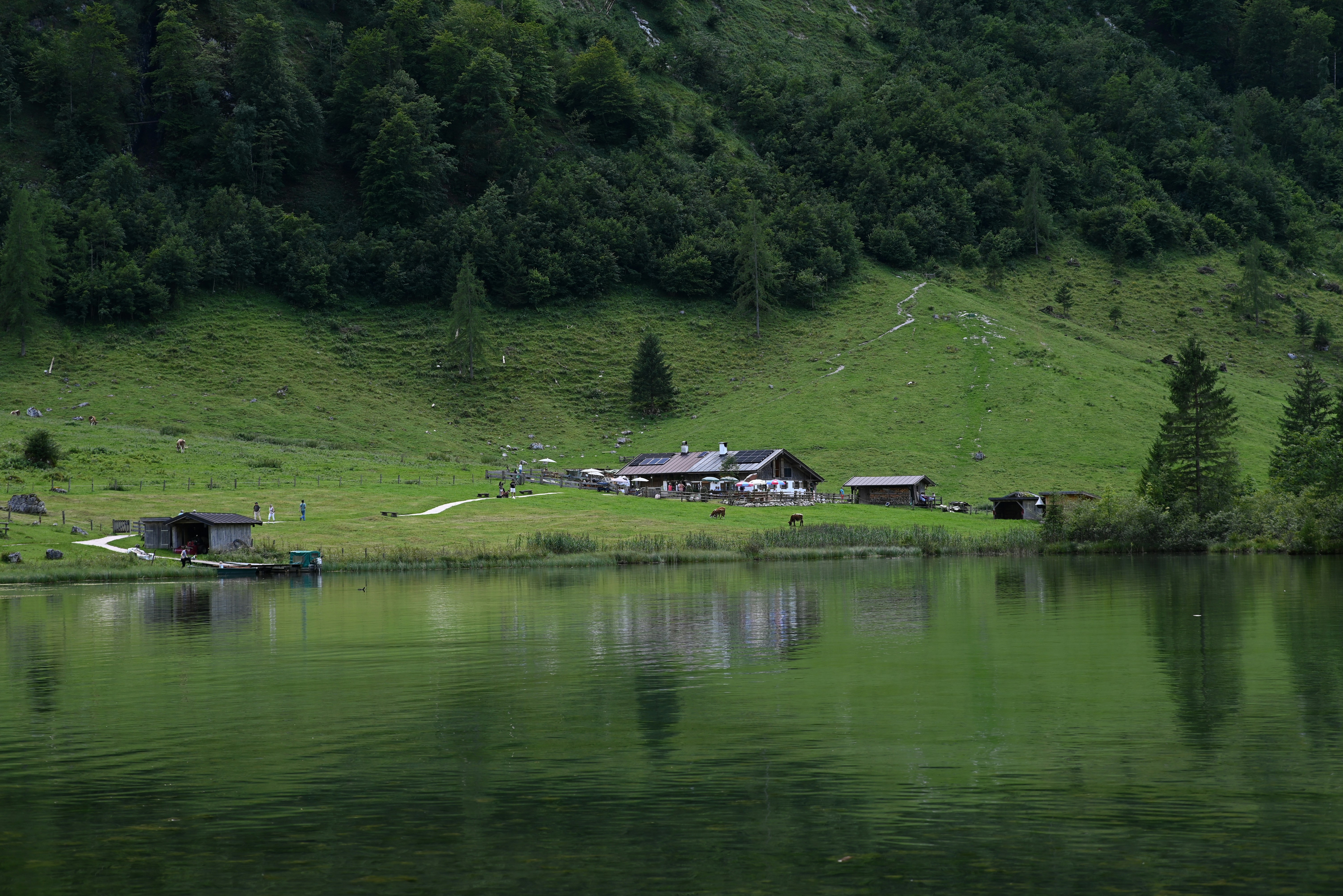 Photo by mortezakhalili