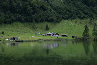 A serene landscape featuring a lush green hillside descending to a calm body of water. Several rustic buildings, including a main cabin and smaller sheds, are situated near the water's edge. The area is surrounded by dense forest with majestic trees. Grazing animals and a few people can be seen at a distance.