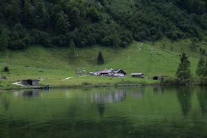 A serene landscape featuring a lush green hillside descending to a calm body of water. Several rustic buildings, including a main cabin and smaller sheds, are situated near the water's edge. The area is surrounded by dense forest with majestic trees. Grazing animals and a few people can be seen at a distance.