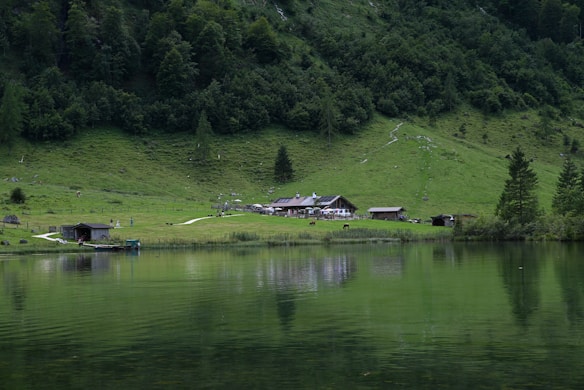 A serene landscape featuring a lush green hillside descending to a calm body of water. Several rustic buildings, including a main cabin and smaller sheds, are situated near the water's edge. The area is surrounded by dense forest with majestic trees. Grazing animals and a few people can be seen at a distance.