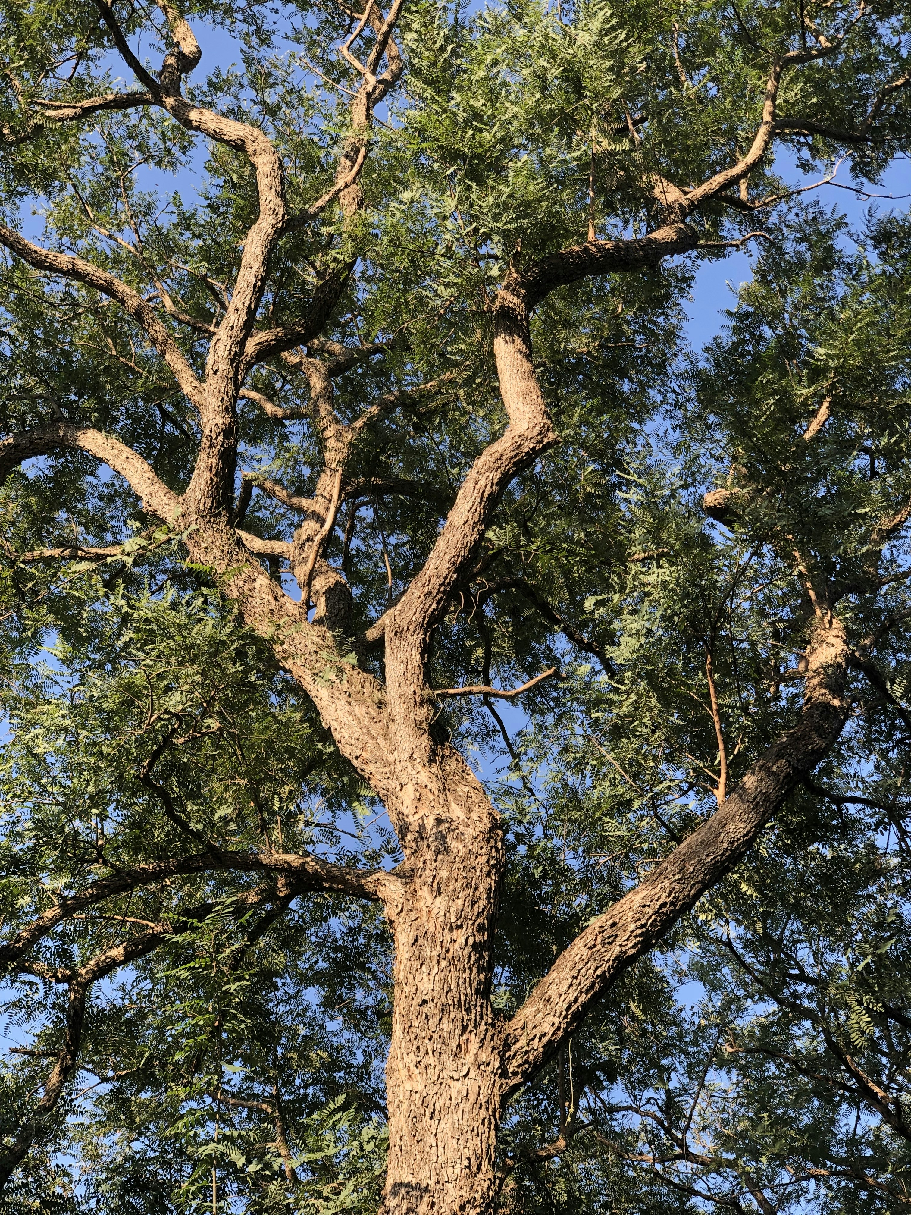 Photo by sunshinestudio82