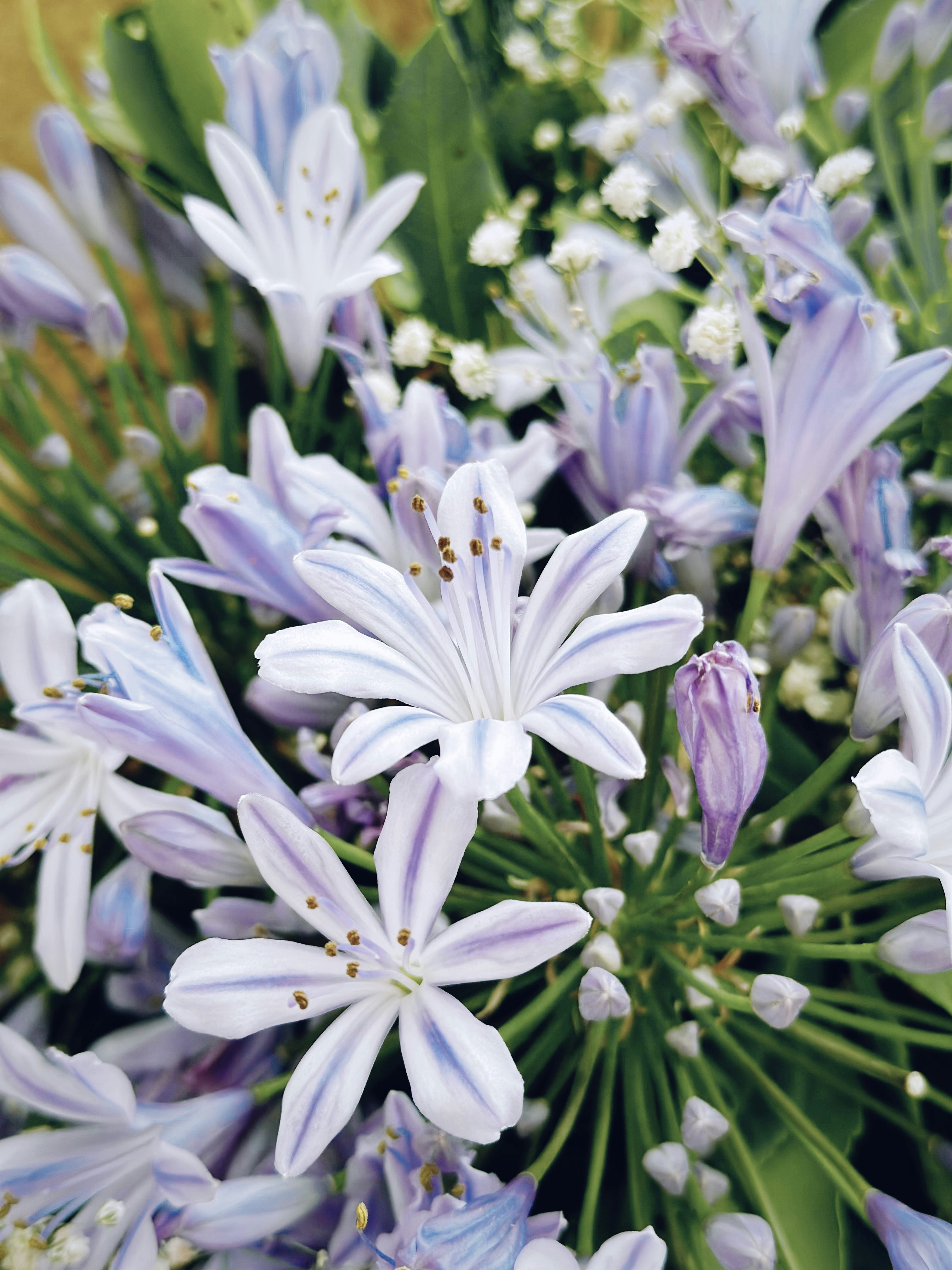 Photo by gamzeteoman