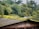 A corrugated metal roof covered with green moss and small plants, set against a backdrop of dense, lush trees and foliage. The roof appears weathered and aged, with visible rust marks. A silver water tank or similar structure sits atop the roof.
