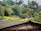 A corrugated metal roof covered with green moss and small plants, set against a backdrop of dense, lush trees and foliage. The roof appears weathered and aged, with visible rust marks. A silver water tank or similar structure sits atop the roof.