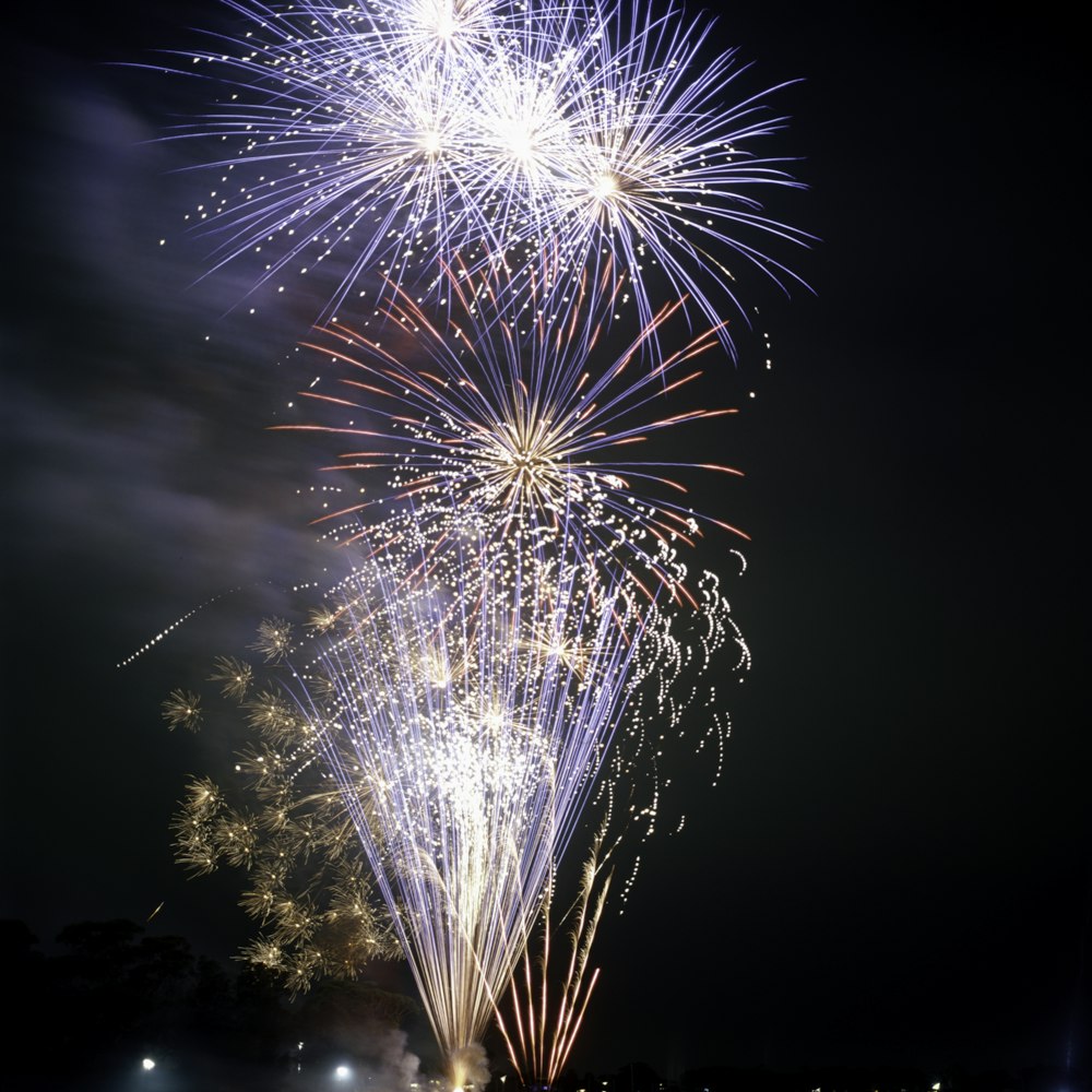 a large fireworks is lit up in the night sky