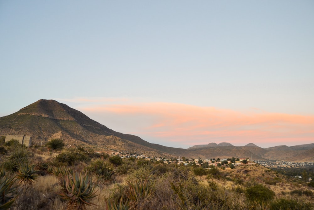 a view of a desert with a mountain in the background