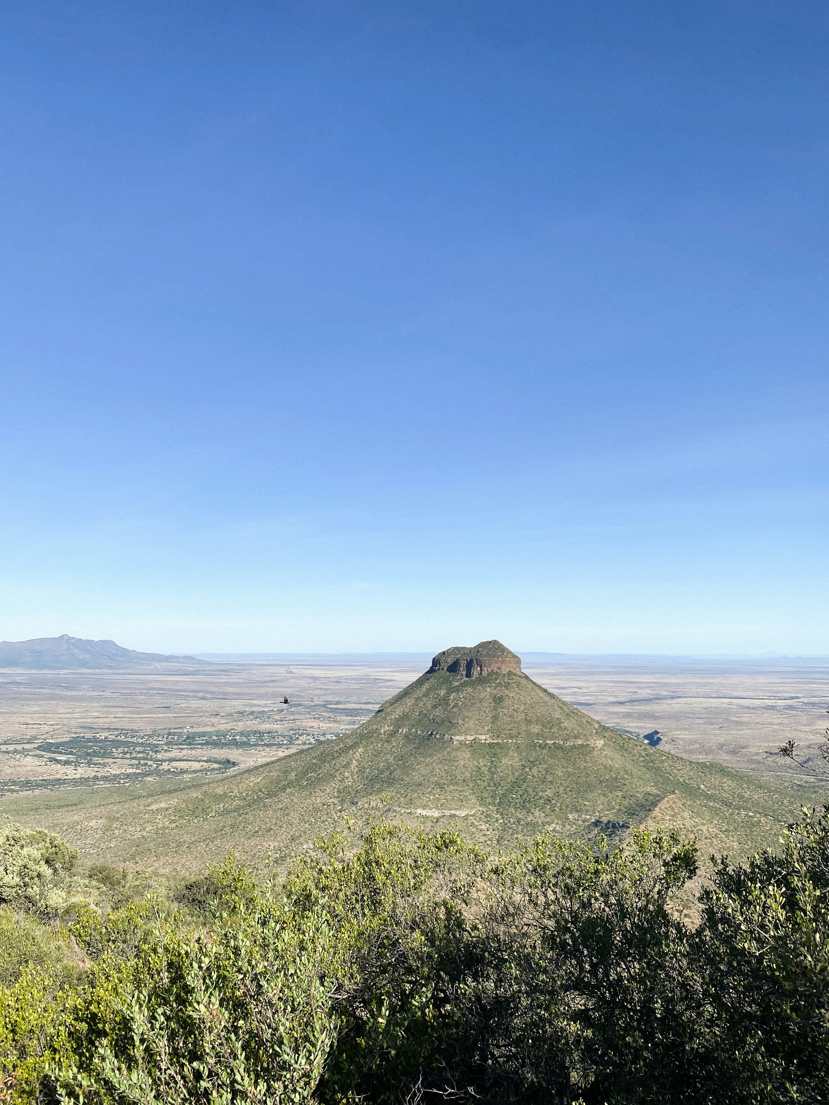 Photo by esmarivandermerwe