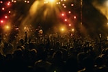 Crowd enjoying a live concert with hands raised and illuminated by dramatic black and neon lighting.