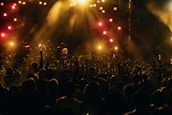 An audience enjoying a live music performance.