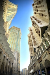 looking up at the buildings in the city