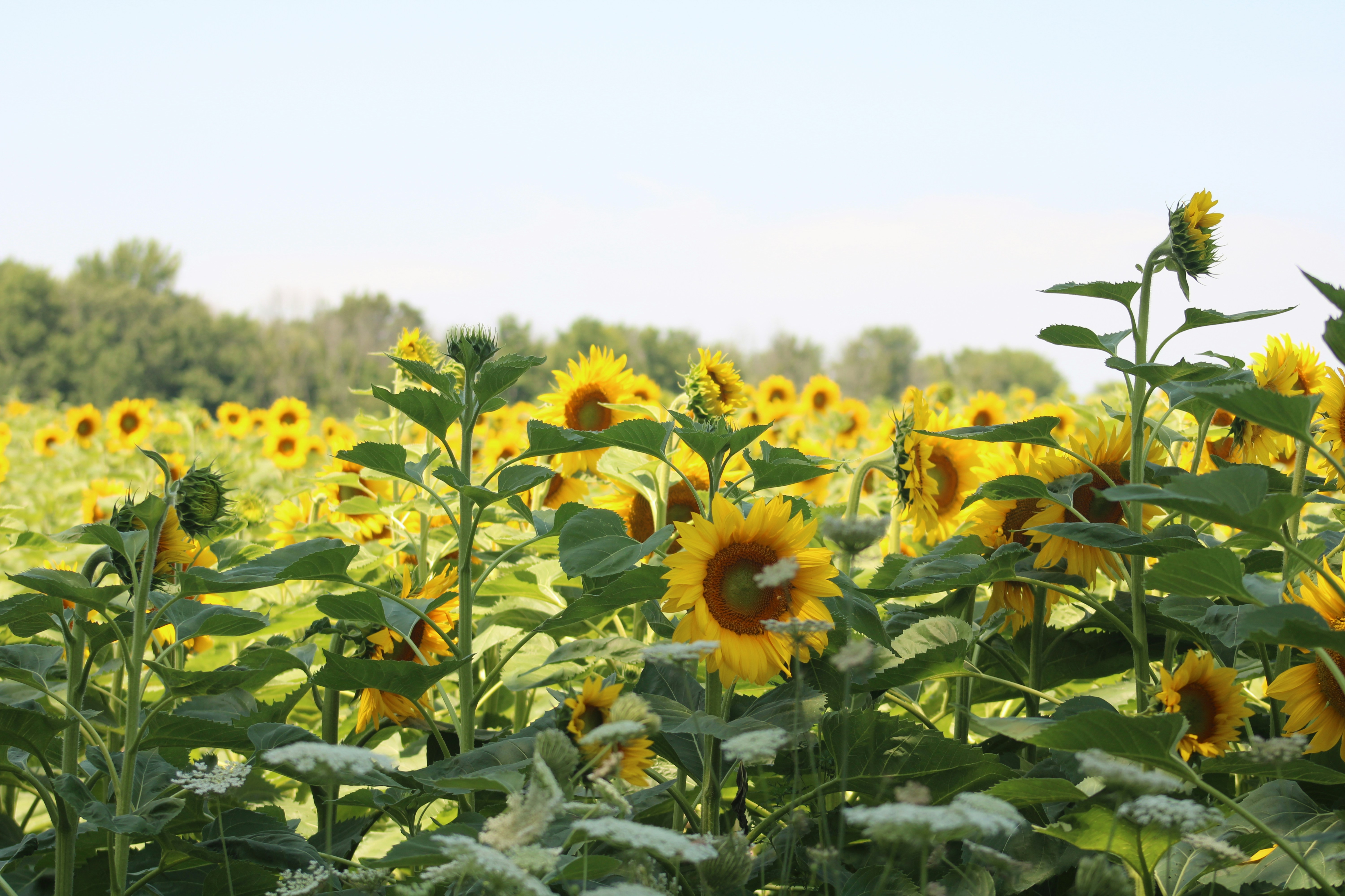 Photo by marie_martin1