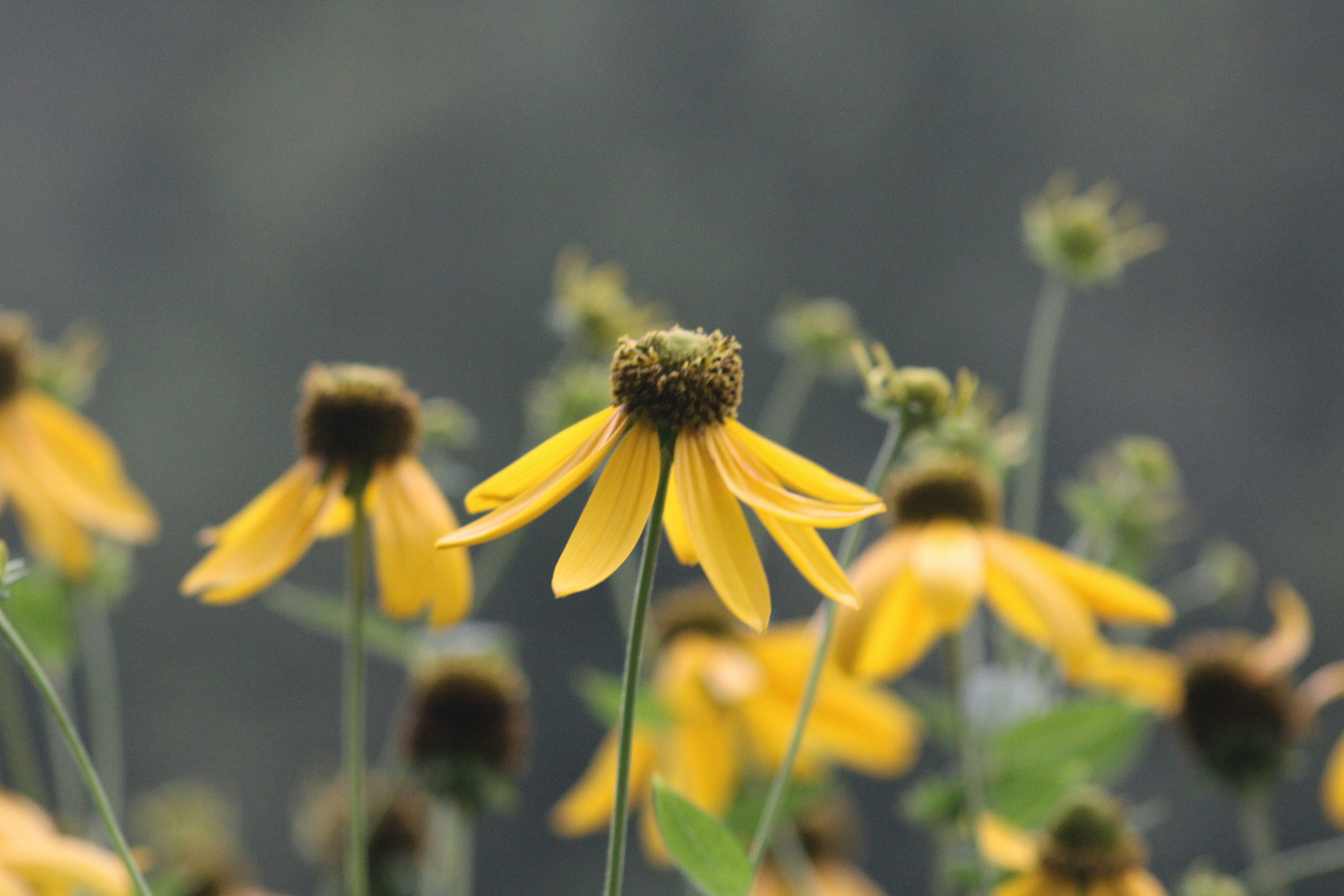 Photo by marie_martin1