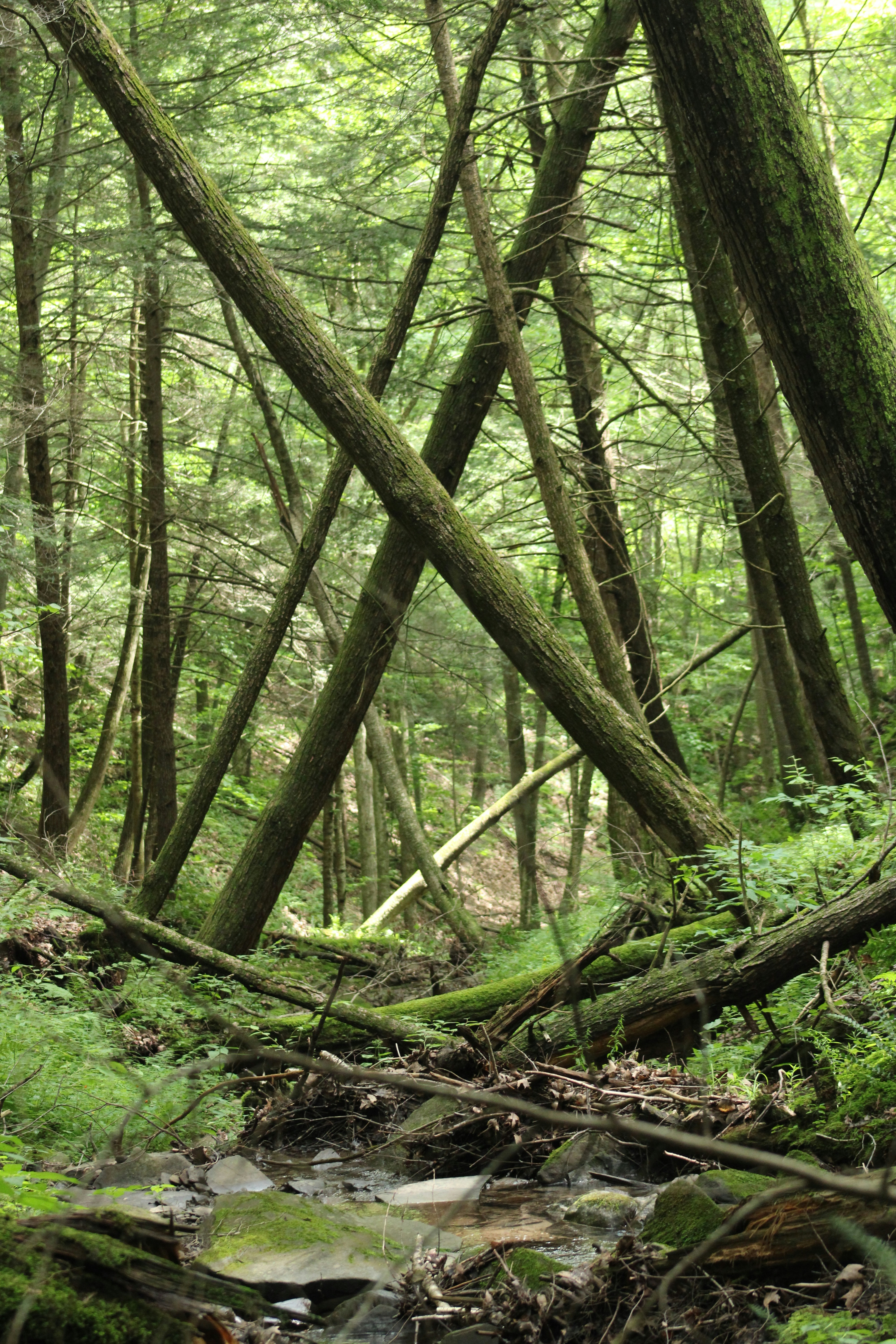 Photo by marie_martin1