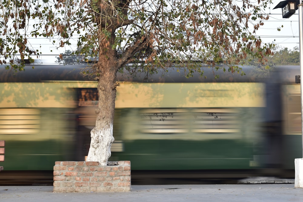 a green and yellow train passing by a tree