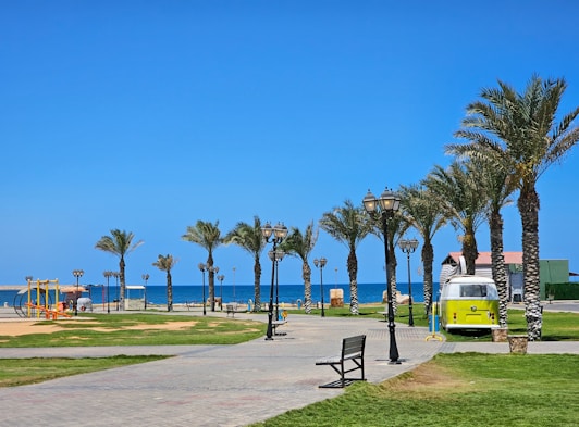 A vibrant seaside park featuring a row of palm trees with a bright, clear blue sky in the background. A vintage green and white van is parked along the walkway lined with street lamps. The area includes a playground with swings and slides to the left. Green grass and neatly arranged paths add to the well-maintained appearance of the park.