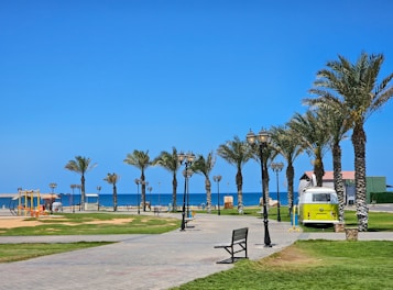 A vibrant seaside park featuring a row of palm trees with a bright, clear blue sky in the background. A vintage green and white van is parked along the walkway lined with street lamps. The area includes a playground with swings and slides to the left. Green grass and neatly arranged paths add to the well-maintained appearance of the park.