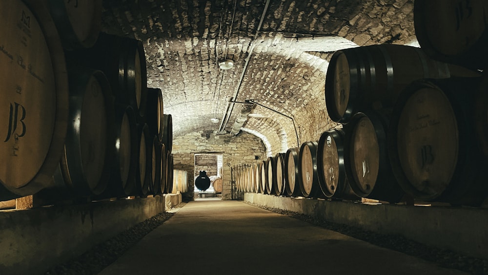 a man standing in a tunnel between two rows of wine barrels