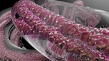 An intricate and abstract 3D rendering featuring intertwined, glossy tubes with a metallic and glass-like texture. The tubes have a complex surface pattern with hues of pink, purple, and silver, creating a visually engaging and futuristic composition.