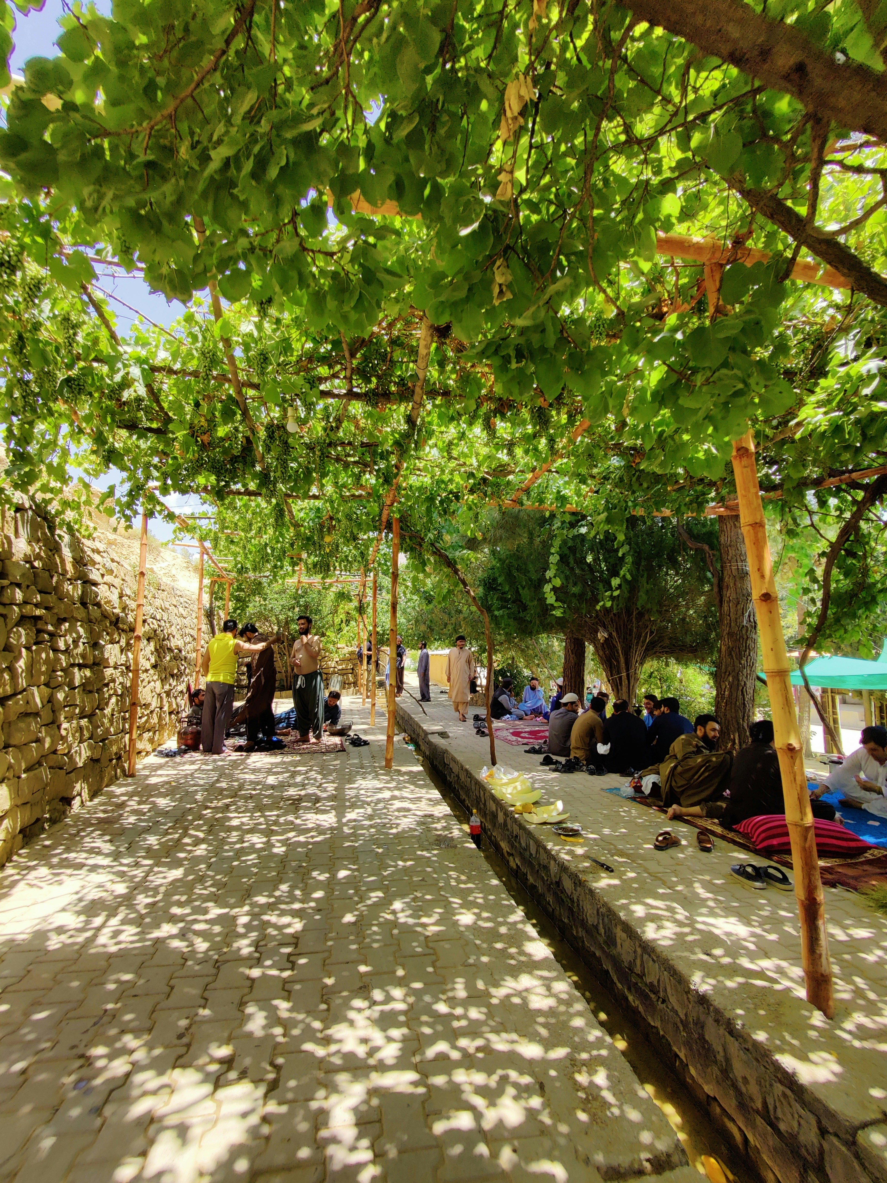 Termine im Rebenzeit