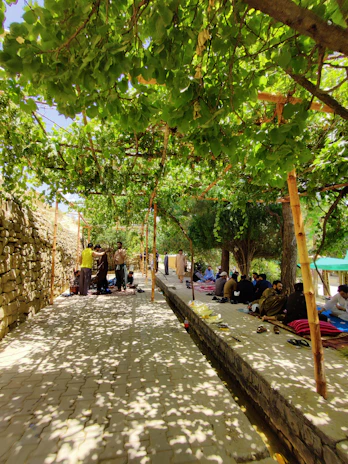 A group sharing laughter and stories beneath a canopy of rose vines in full bloom.