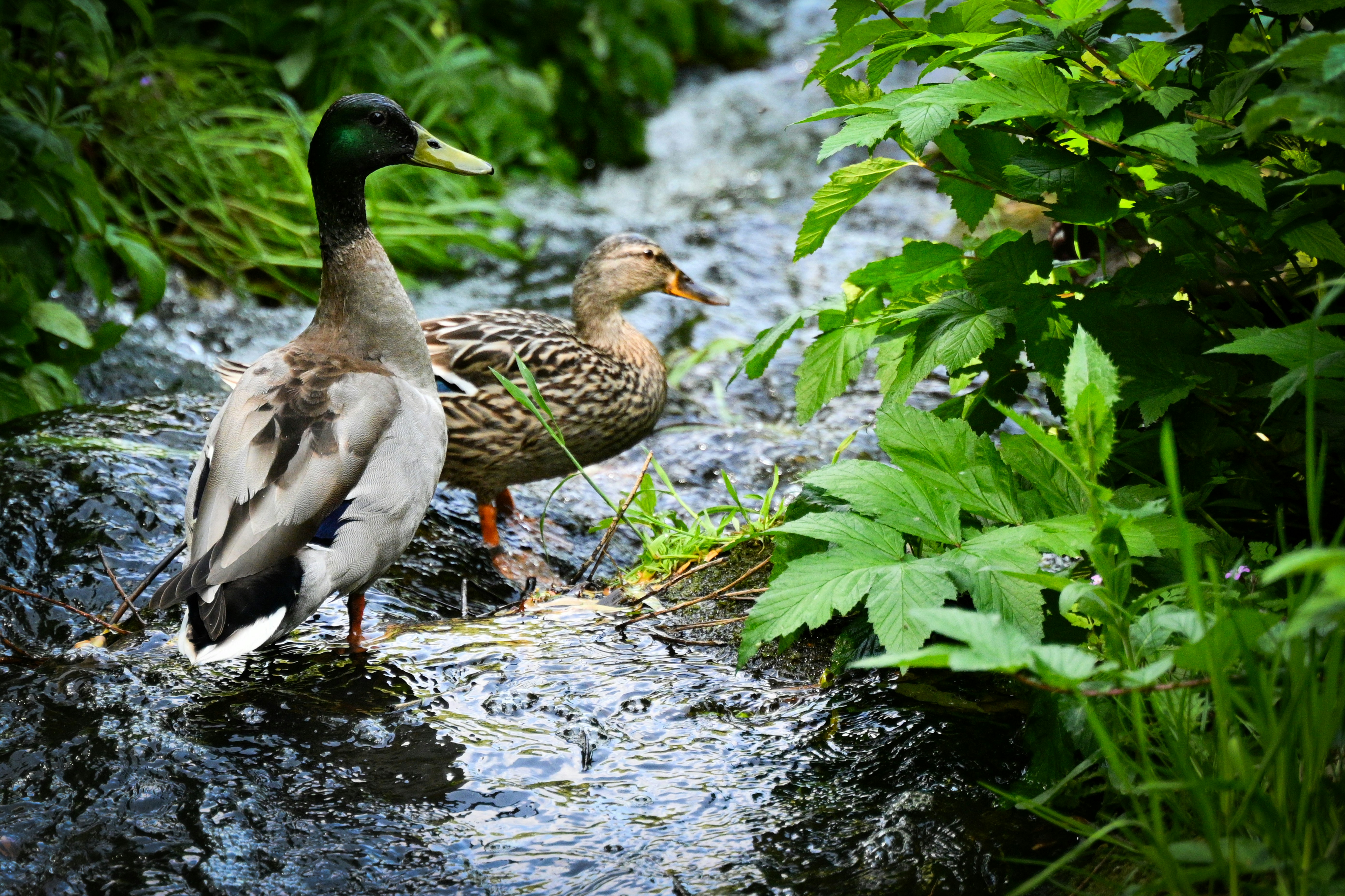 Photo by lucia_sorrentino