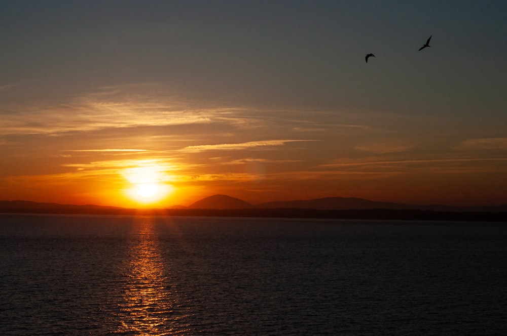 a sunset over a body of water with birds flying in the sky