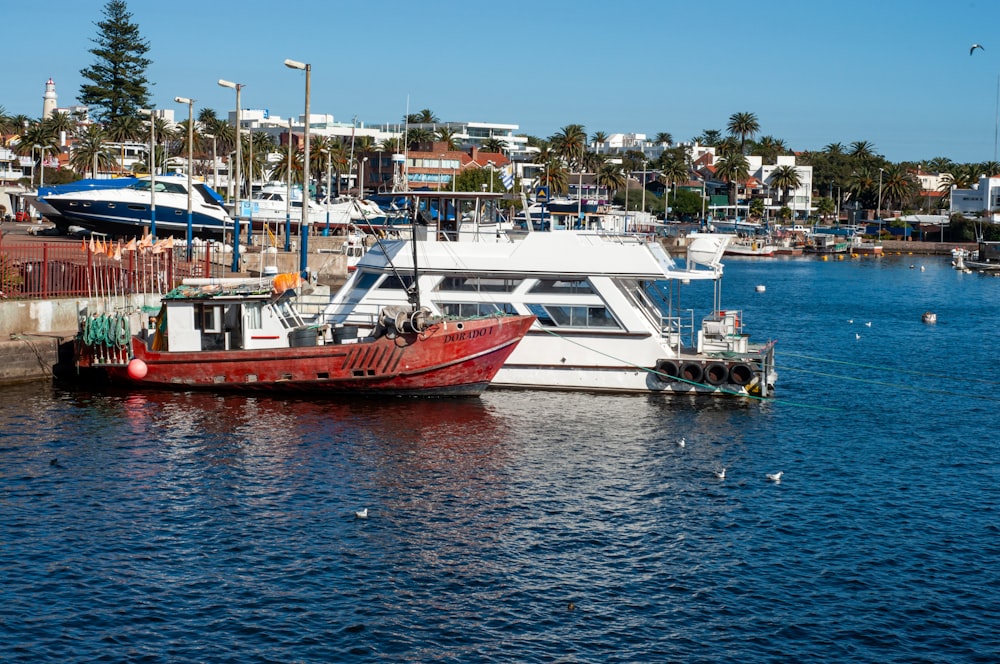 a red and white boat in a body of water