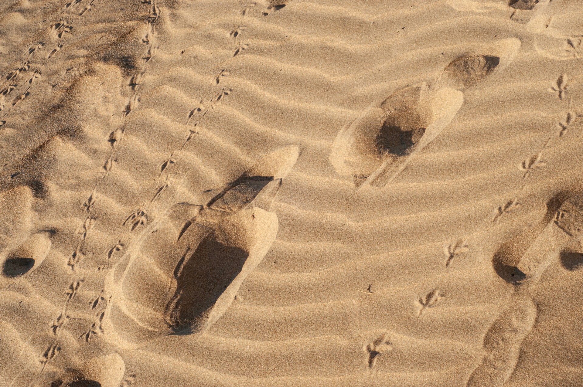 a couple of boats that are sitting in the sand