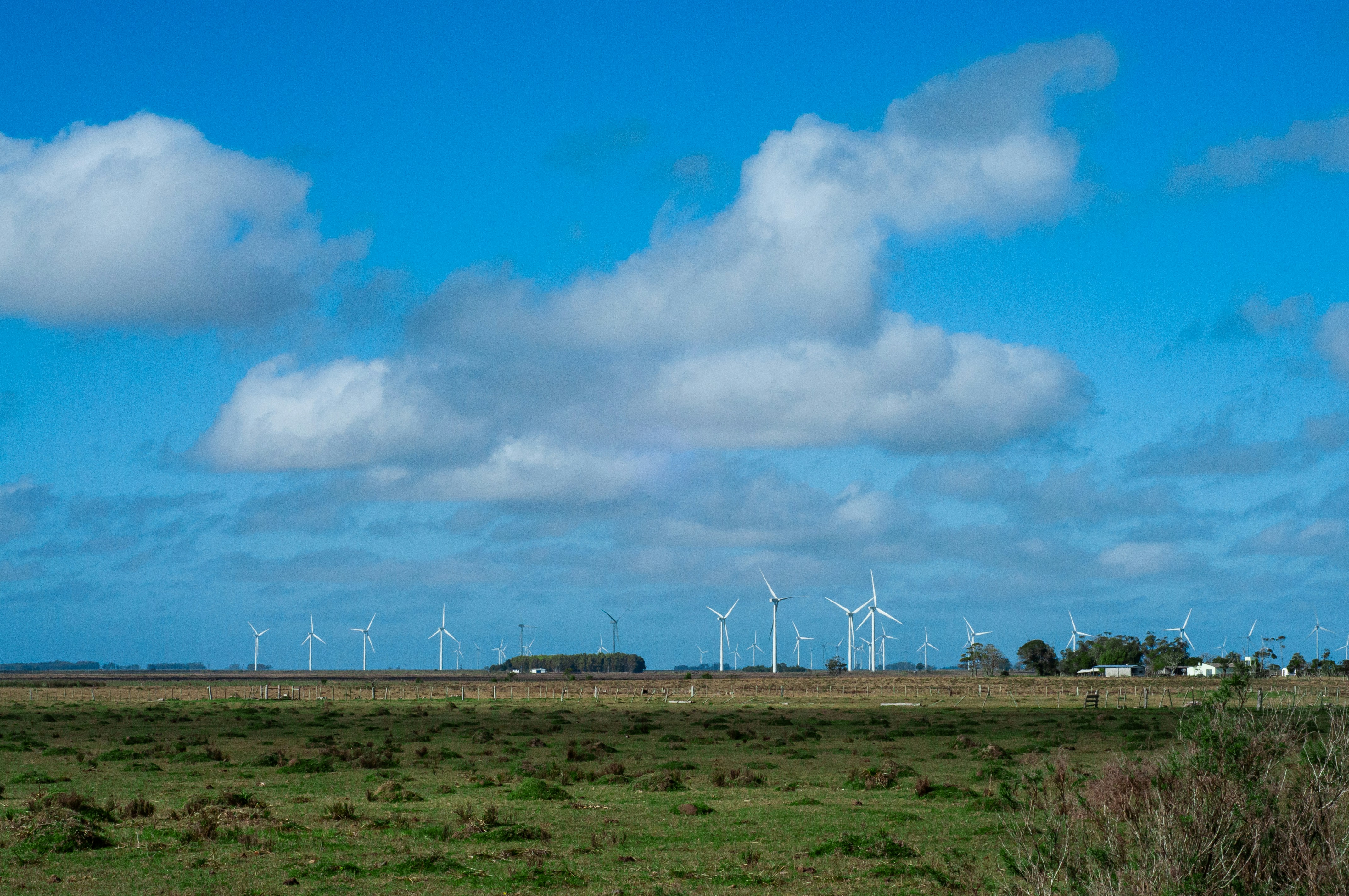 a field with a bunch of wind turbines in the distance
