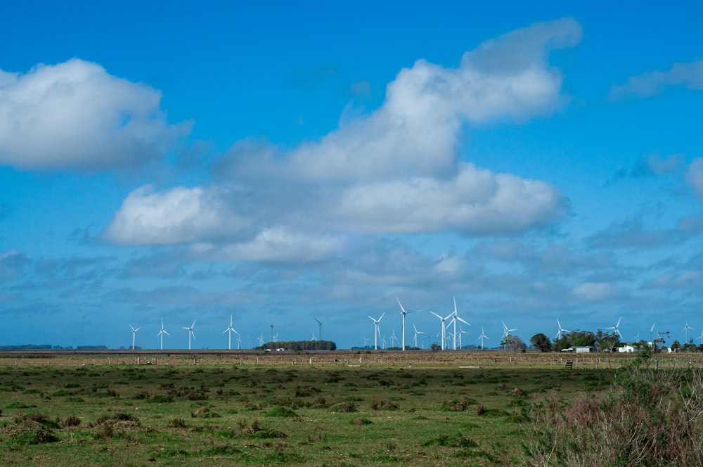 un campo con un mucchio di turbine eoliche in lontananza