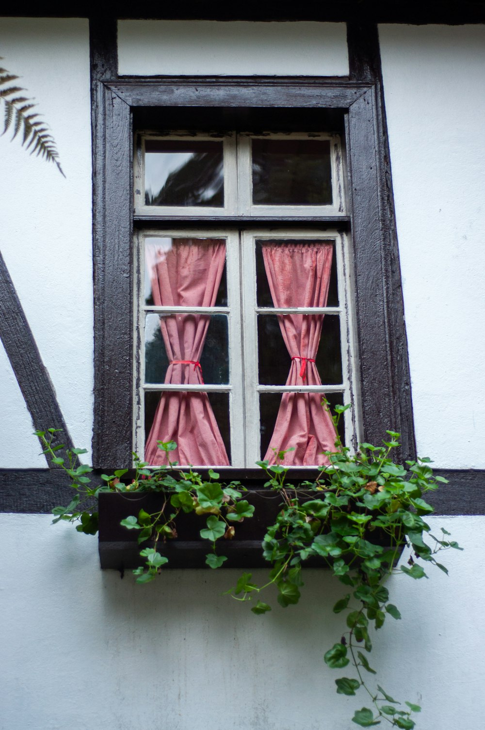 ピンクのカーテンと窓枠の植物がある窓