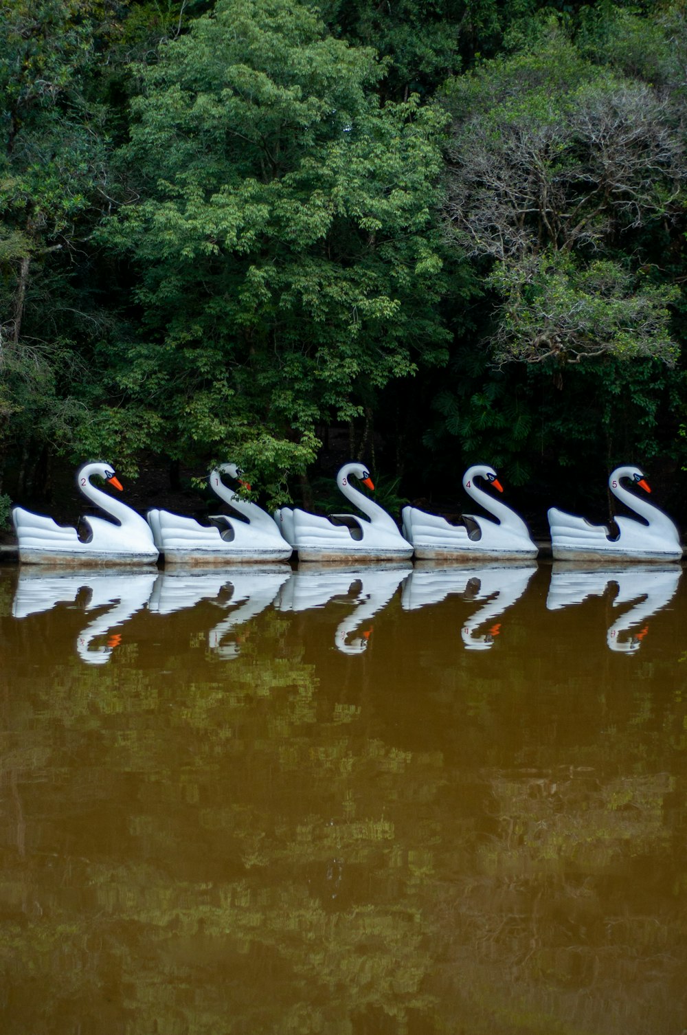 a row of white swans floating on top of a lake