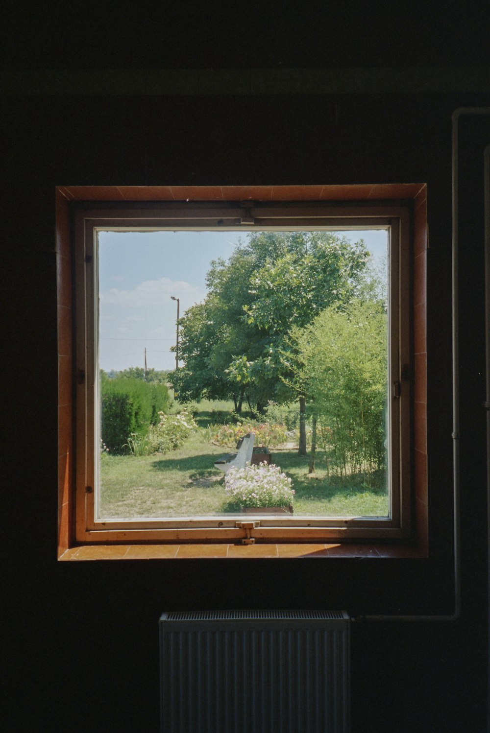 a view of a park through a window