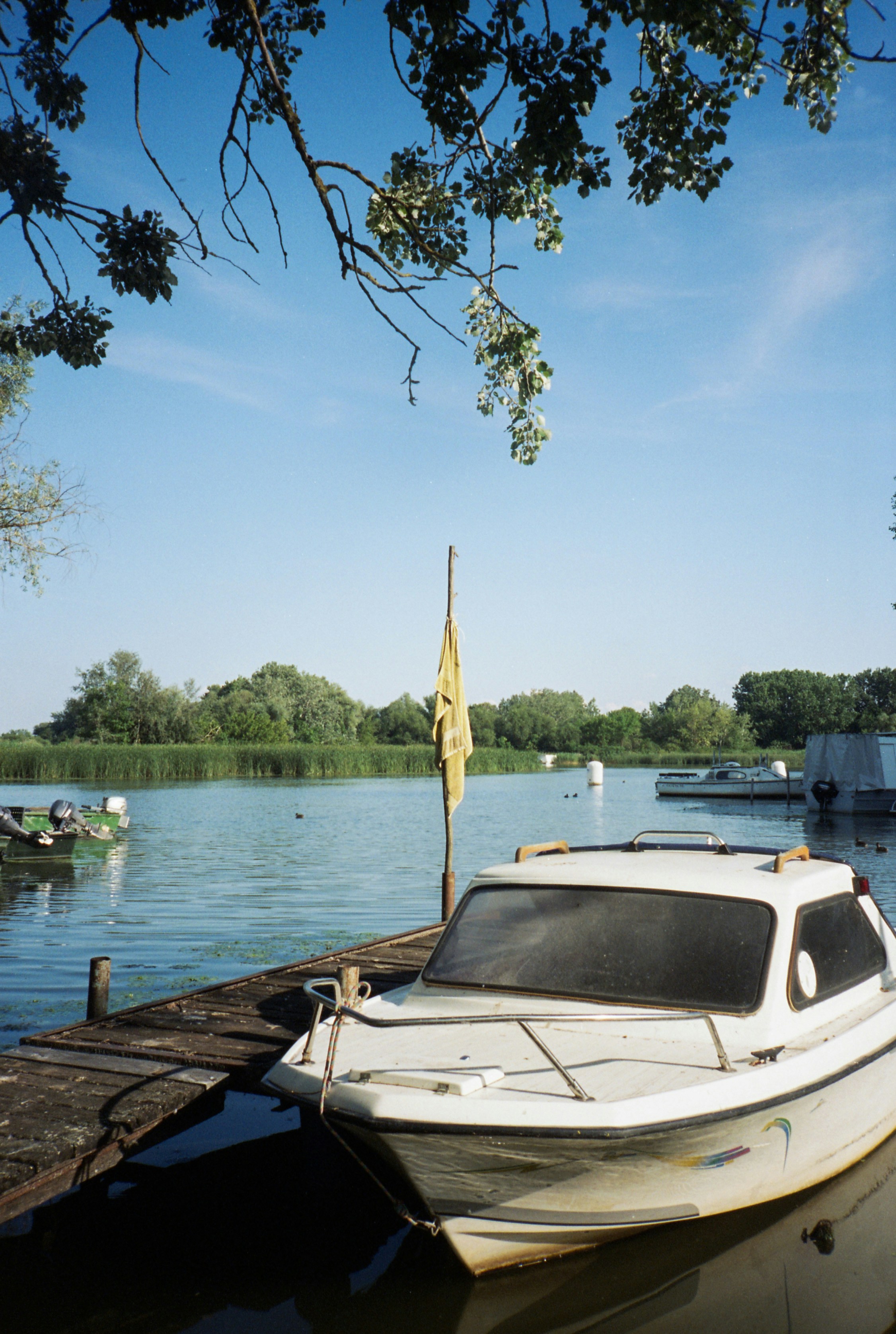 Photo by stachmann