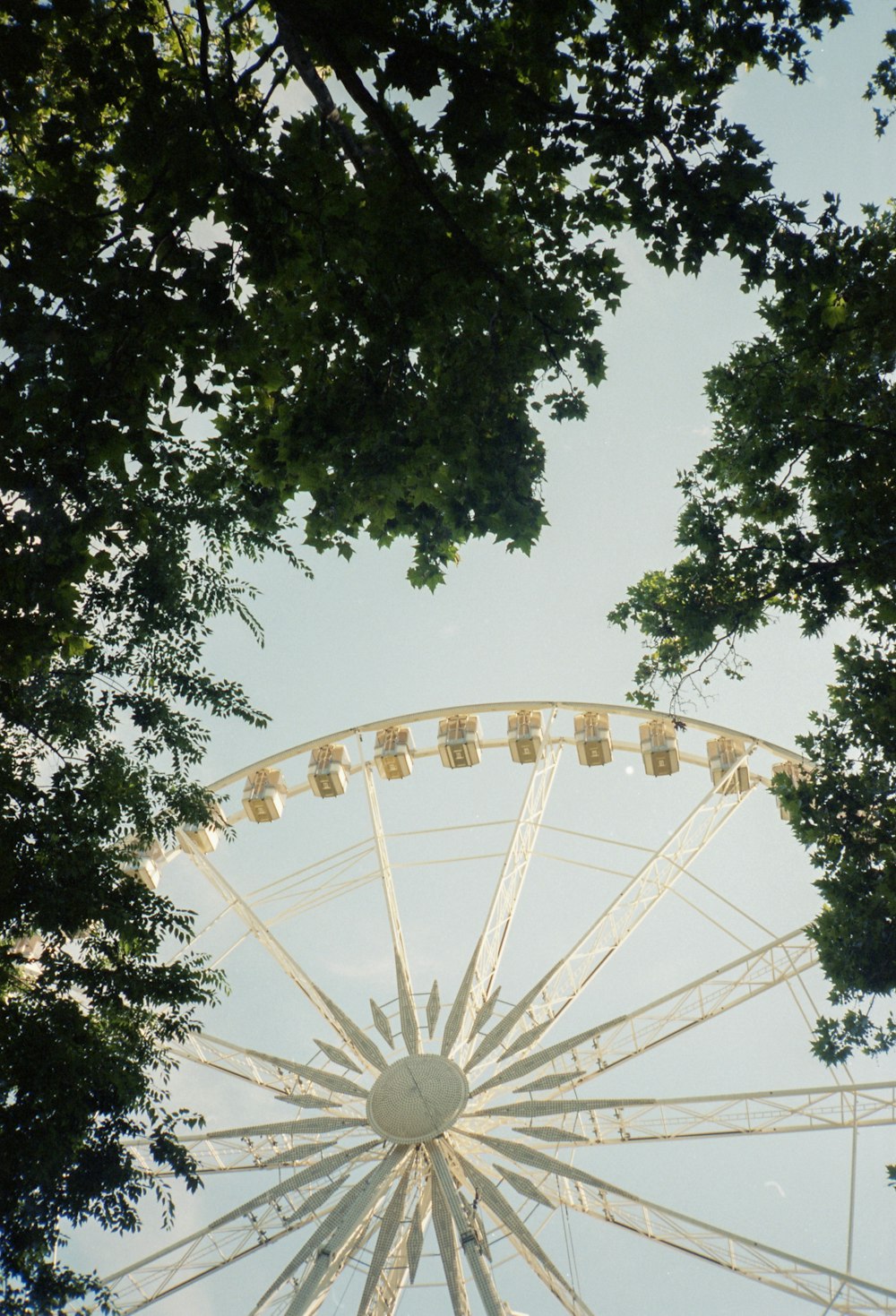 a ferris wheel is seen through the trees