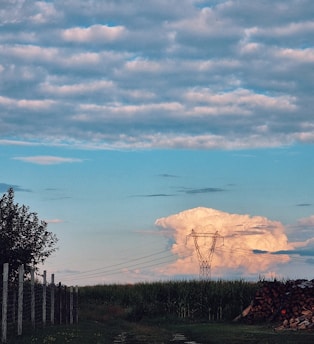 Clouds fill much of the sky with a large cumulonimbus cloud dominating the center, behind a power line tower. A field of crops lies beneath, bordered by a wooden fence and a pile of logs. Trees are visible to the left.